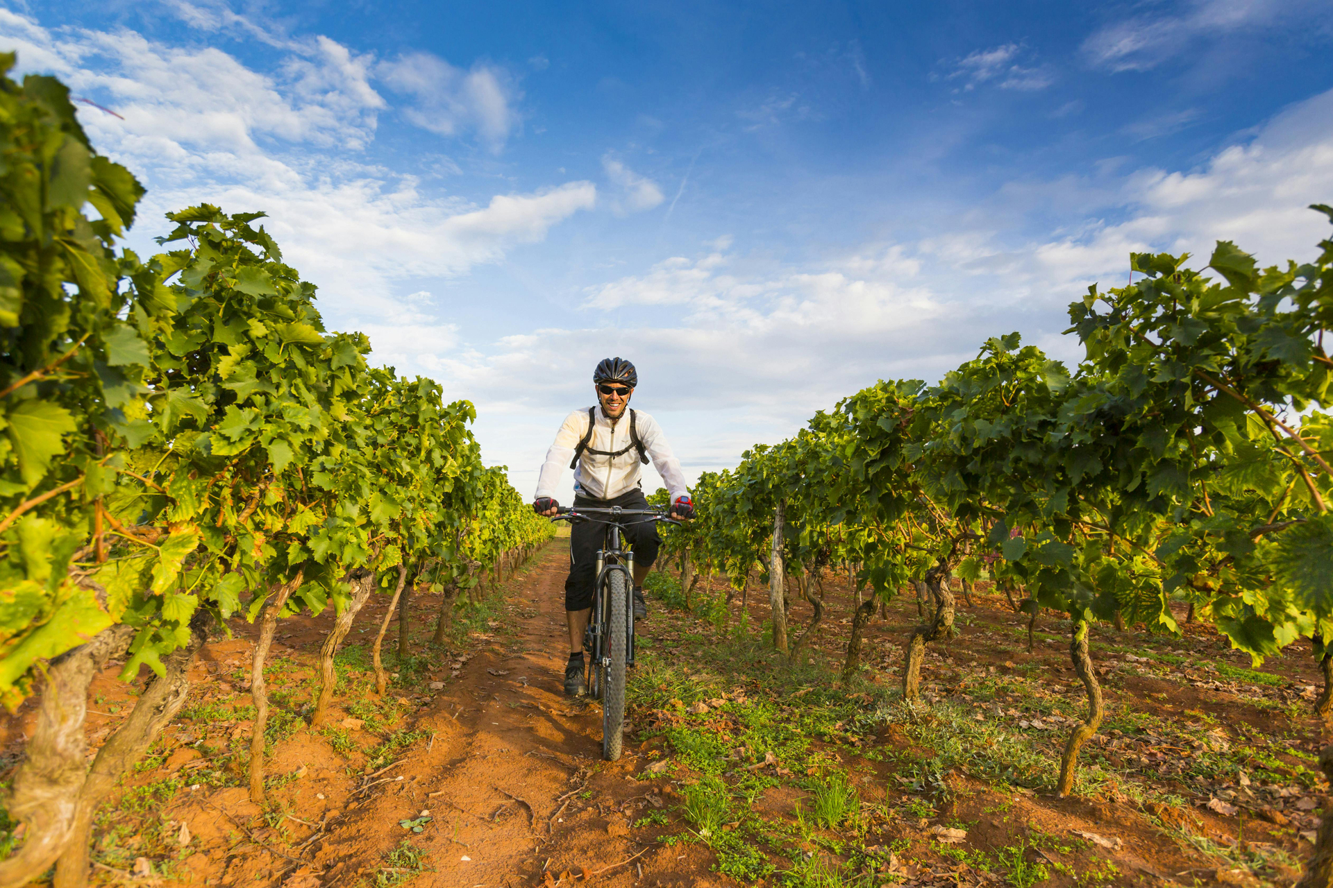 Ruta del vino en bicicleta eléctrica por Todi