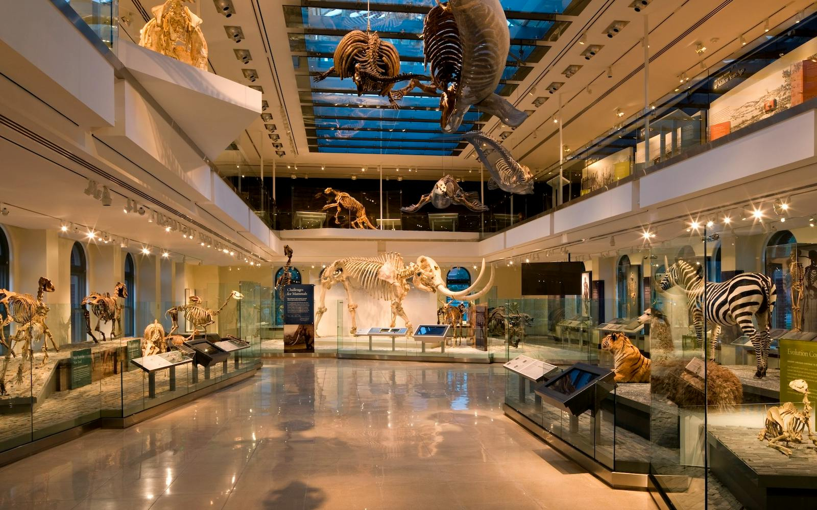 Entradas para el Museo de Historia Natural de Los Ángeles