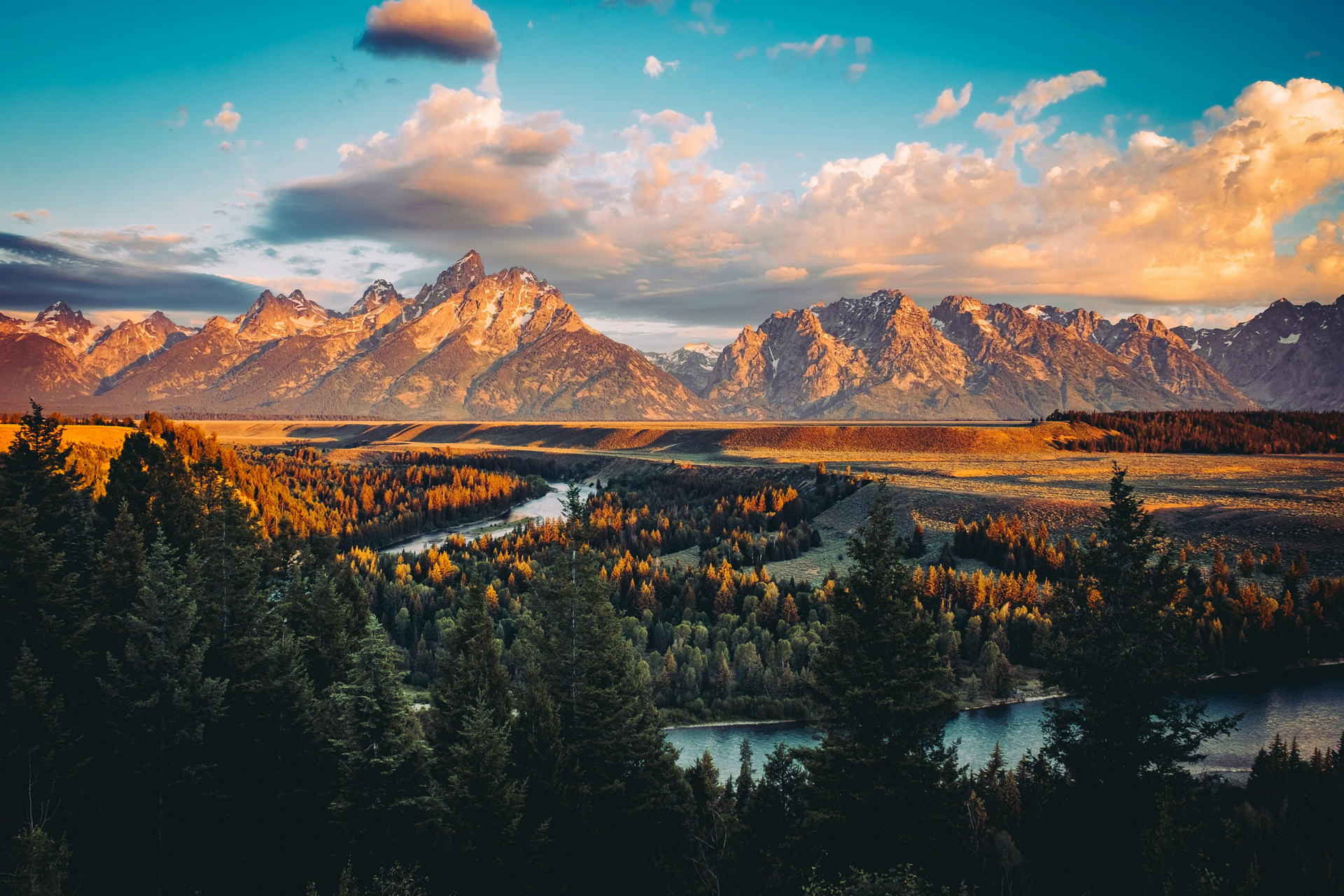 Safari al amanecer con vida salvaje en verano y otoño desde Jackson Hole