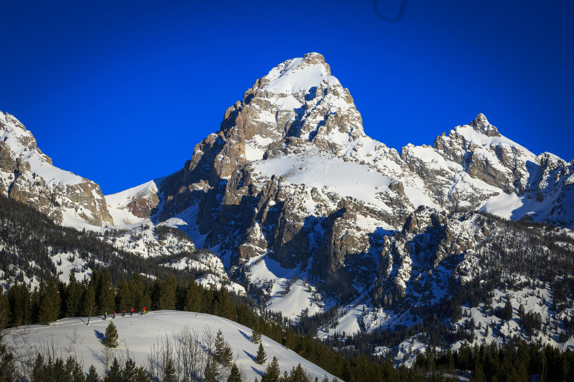 Aventura privada de observación de vida silvestre y raquetas de nieve de día completo en el Parque Nacional Grand Teton