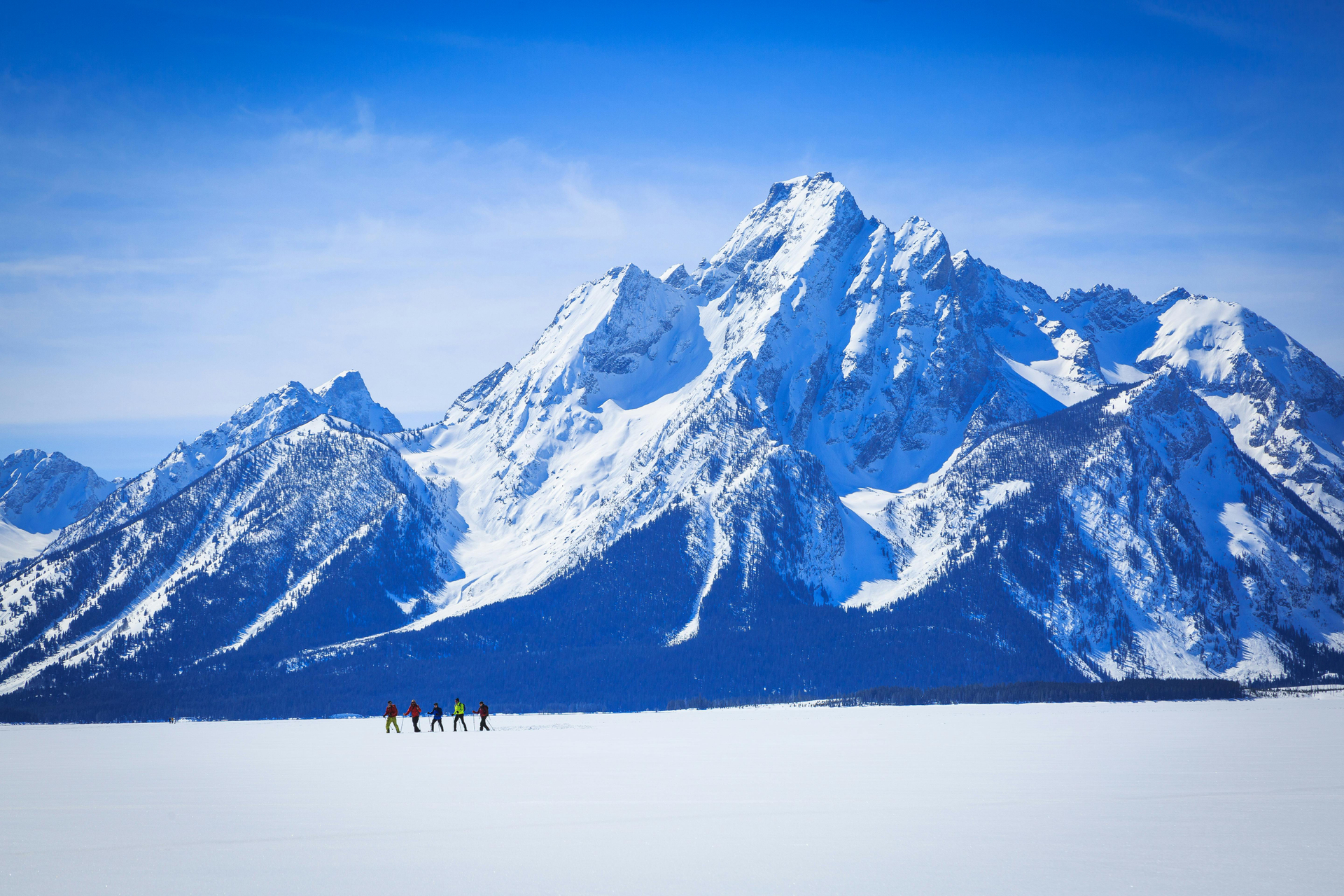 Aventura privada de medio día con raquetas de nieve a un ritmo pausado en el Parque Nacional Grand Teton