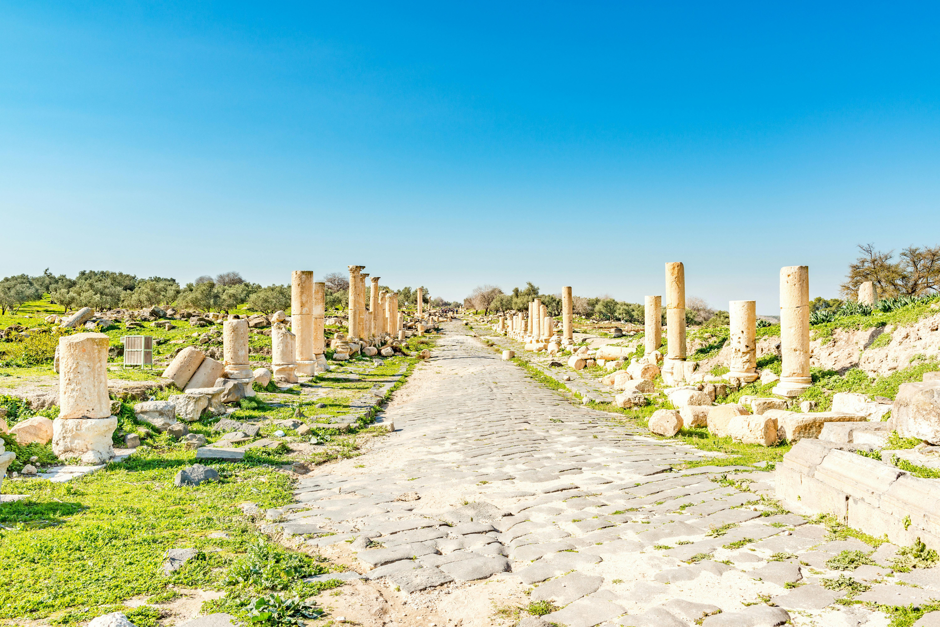 Tour privado de Jerash y Umm Qais desde el Mar Muerto