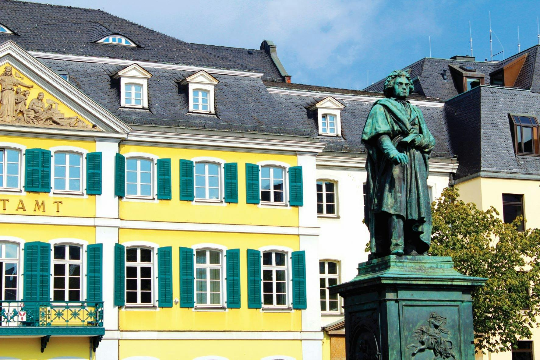 Bonn City Tour and Government District