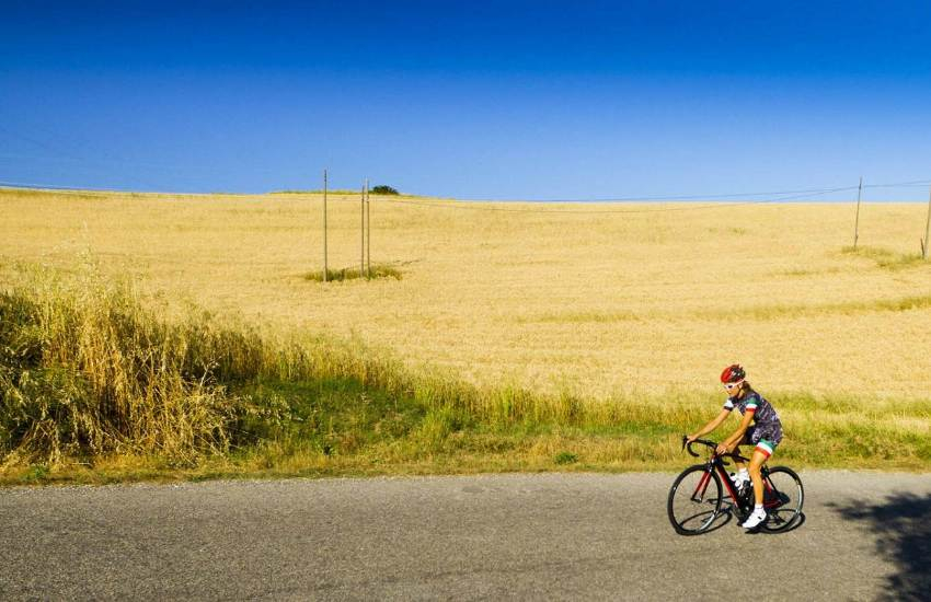 Tour en bicicleta eléctrica por el Chianti