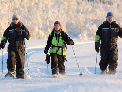 Excursión matinal con huskies y raquetas de nieve en Tromsø