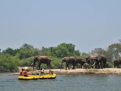 Excursión de un día en canoa por el Alto Zambeze