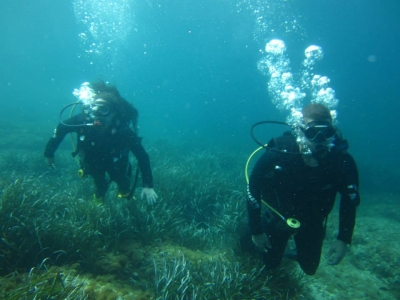 PADI Discover Scuba Diving en Exiles Bay en Sliema, Malta