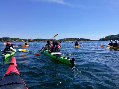 Excursión en kayak por el archipiélago de Estocolmo