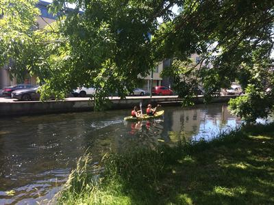 Navegar en kayak por el Gran Canal de Dublín