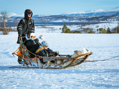 Excursión en trineo tirado por perros por el Ártico en Tromsø