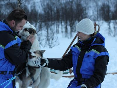 Excursión de un día en trineo tirado por perros en Breivikeidet desde Tromsø