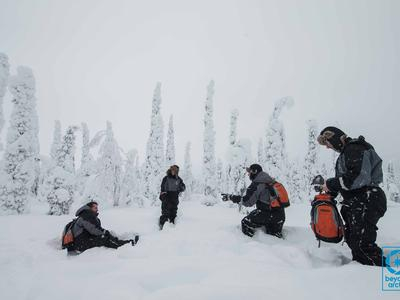 Excursión con raquetas de nieve desde Rovaniemi, Laponia