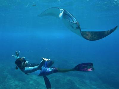 Excursión de snorkel en Nusa Penida desde Nusa Lembongan
