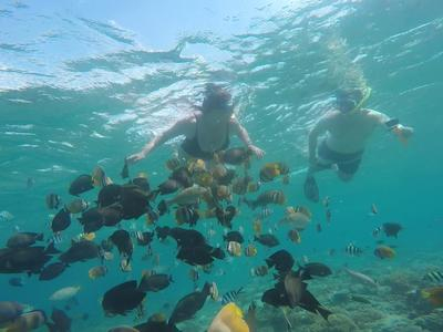 Excursión de snorkel por la costa norte de las Islas Gili desde Lombok