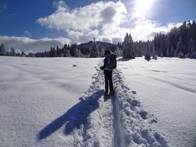 Excursión con raquetas de nieve en Chamonix