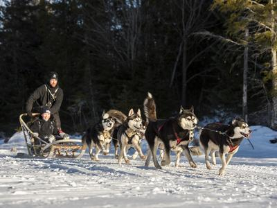 Excursión en trineo de perros en St Hippolyte, cerca de Montreal