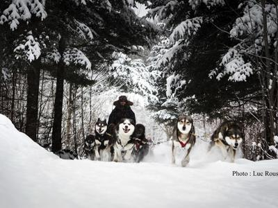 Excursión en trineo de perros cerca del lago Saint Joseph, en Quebec