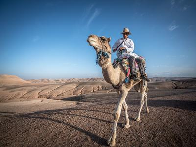 Excursión combinada en quad y camello a Jbilets, Marruecos