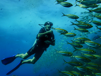 PADI Discover Scuba Diving desde Pounda, en Paros