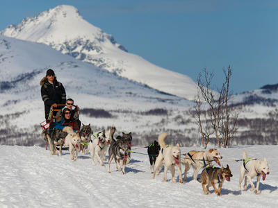 Campamento Aurora y trineo de perros en Tromso