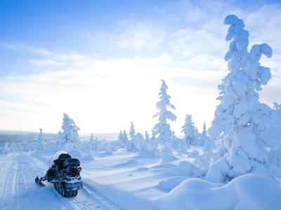 Excursión en moto de nieve por el Ártico a través de bosques y lagos remotos cerca de Rovaniemi
