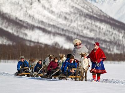 Excursión de un día en trineo de renos en el campamento Tamok desde Tromsø