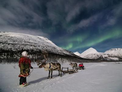 Aurora boreal en trineo de renos en el campamento Tamok desde Tromsø