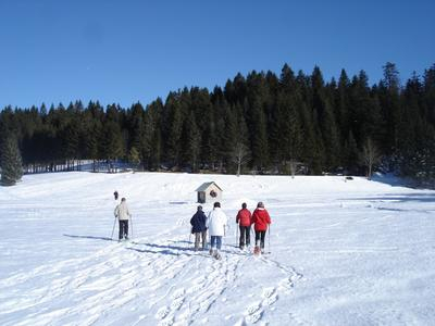 Excursiones con raquetas de nieve en Chartreuse, cerca de Grenoble