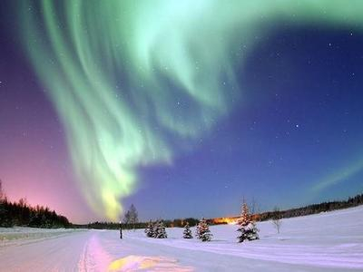 Aurora boreal y aventura con trineo de perros husky en Apukka, cerca de Rovaniemi