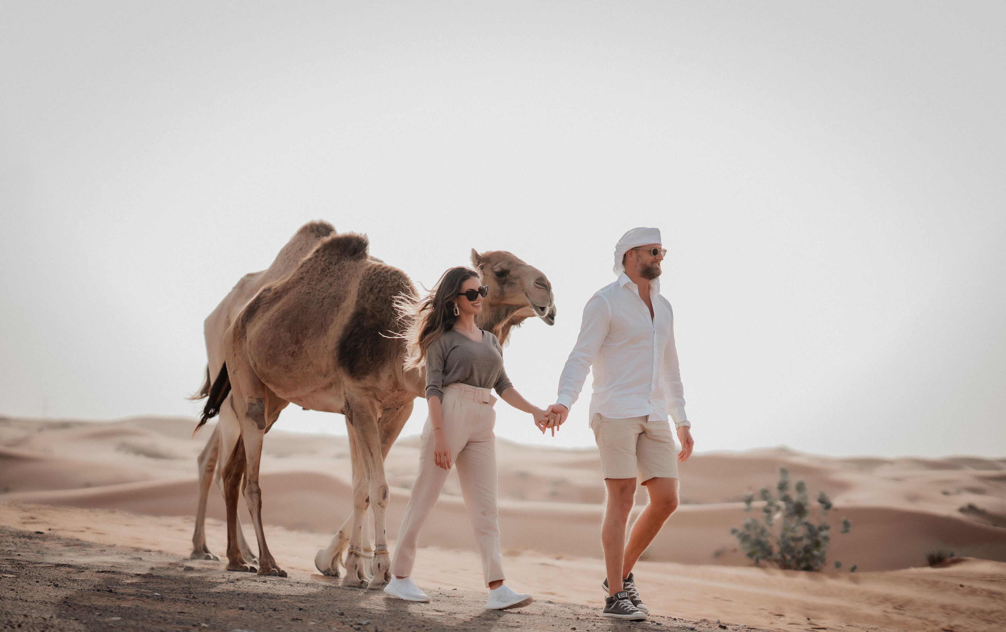 Imagen del tour: Safari matinal por el desierto de Dubai: Paseos en Camello y Sandboard