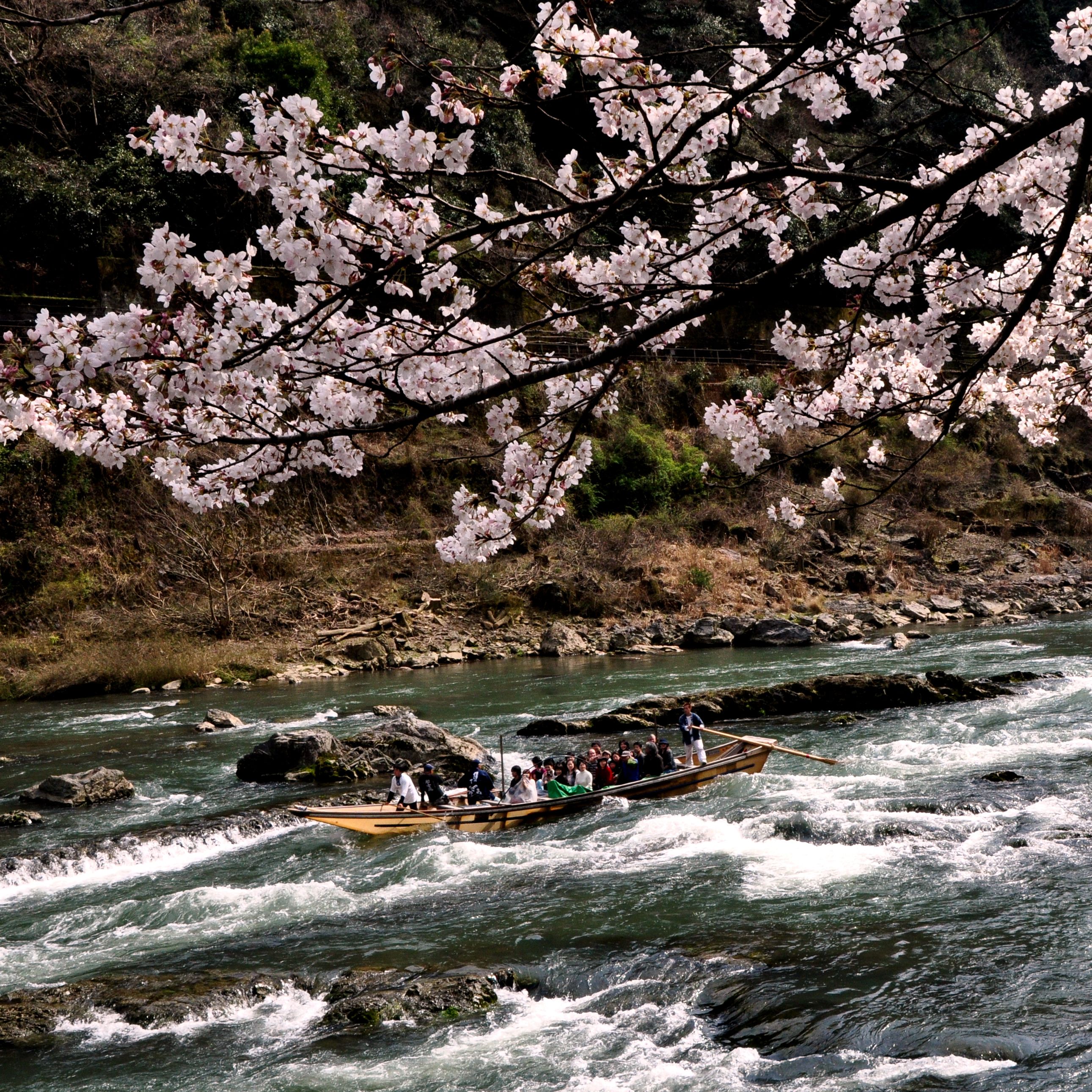 Imagen del tour: Crucero por el río Hozugawa