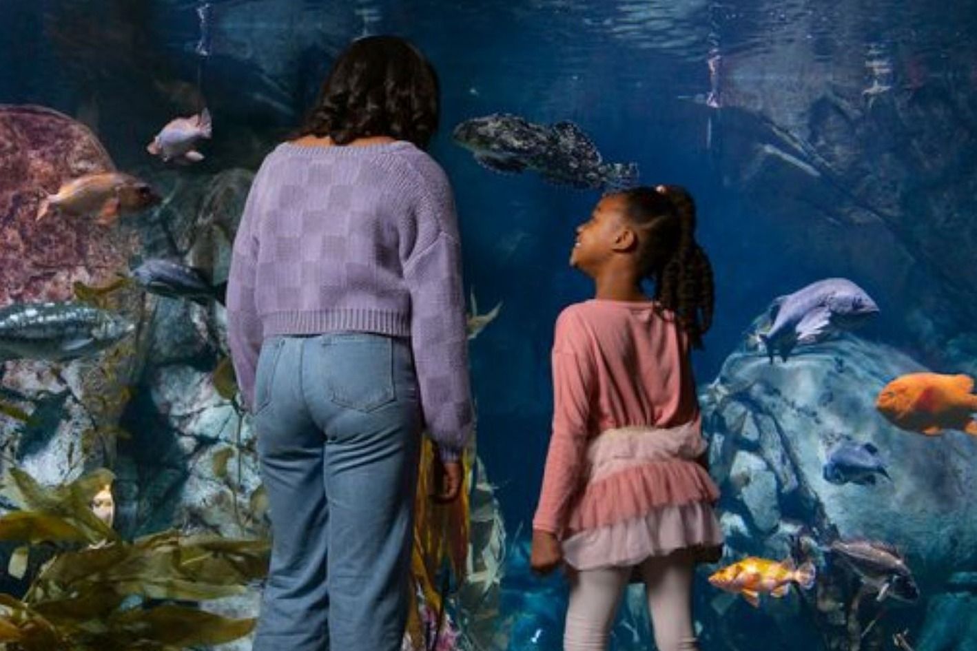 Imagen del tour: Aquarium of the Pacific: Entrada sin colas