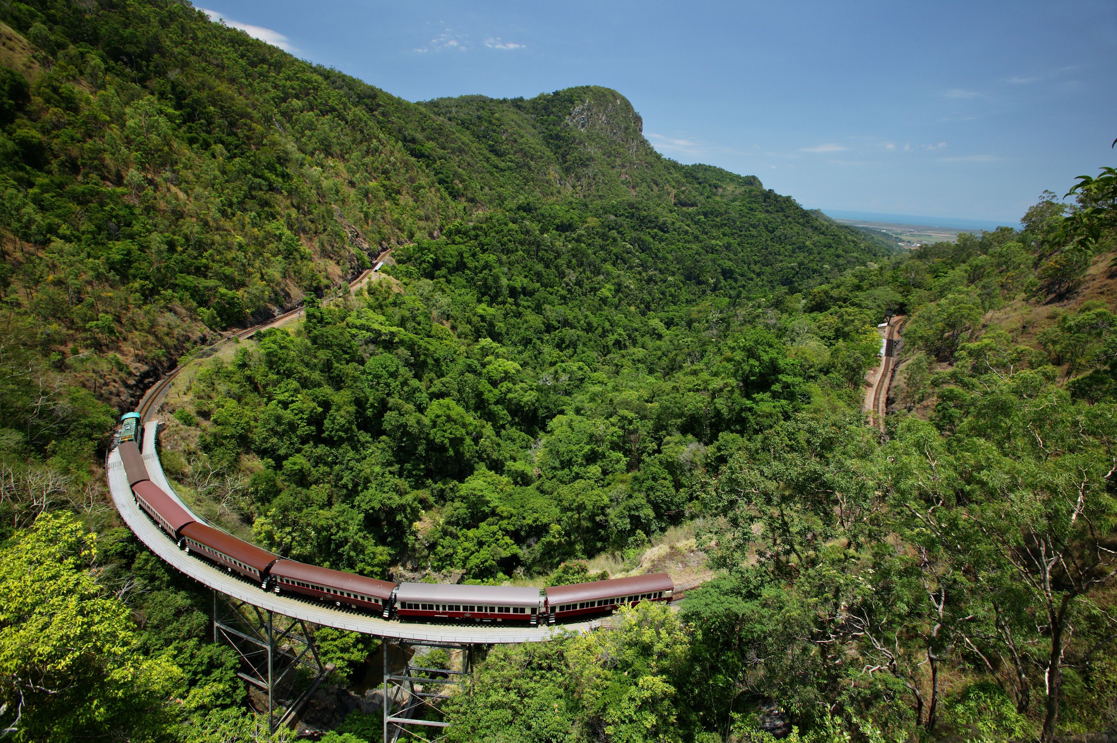 Imagen del tour: Experiencia en Kuranda en coche: Skyrail Rainforest Cableway & Scenic Rail