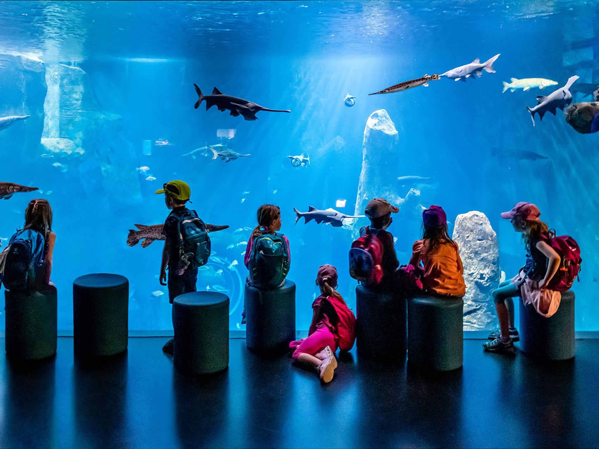 Imagen del tour: AQUATIS Aquarium-Vivarium