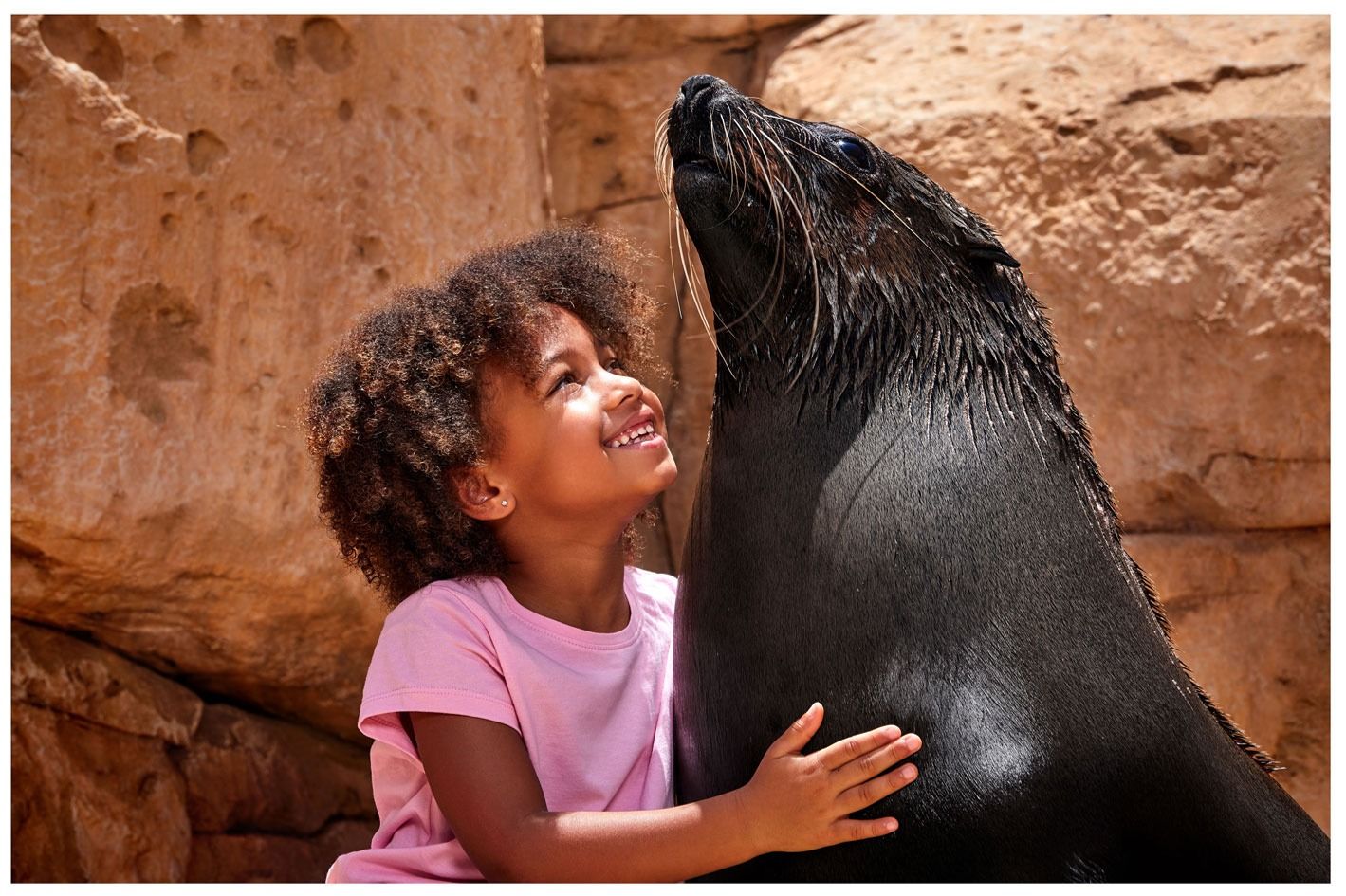 Imagen del tour: Atlantis Dubai: Experiencia con leones marinos
