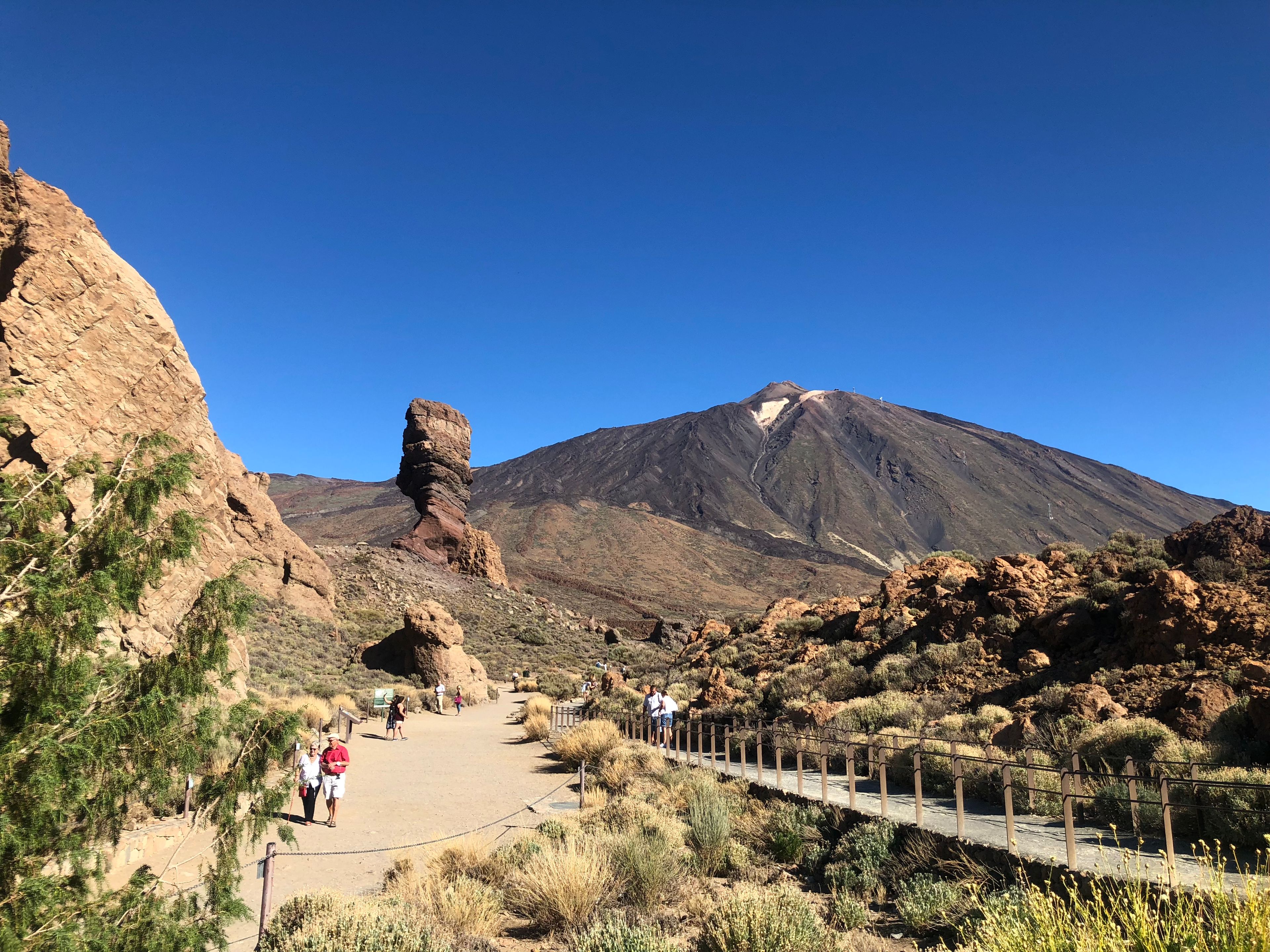 Imagen del tour: Parque Nacional del Teide, Volcán y Masca: Visita guiada