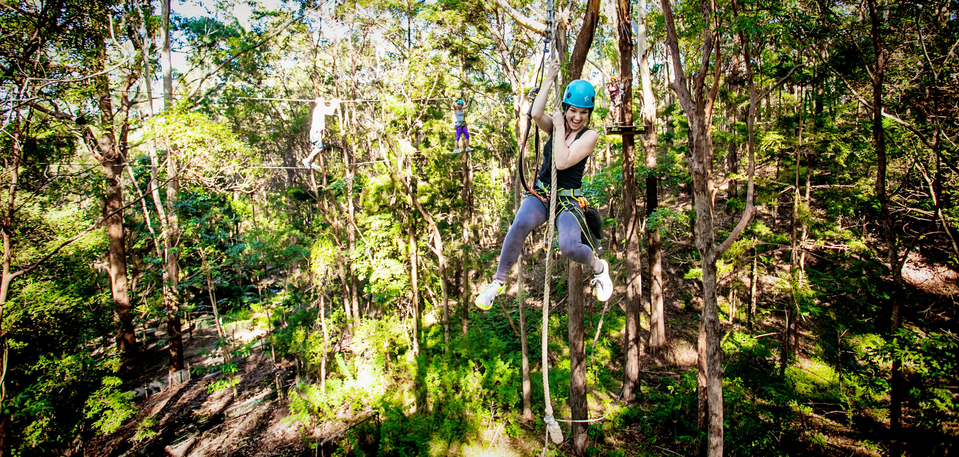 Imagen del tour: TreeTop Challenge Currumbin Adventure Park