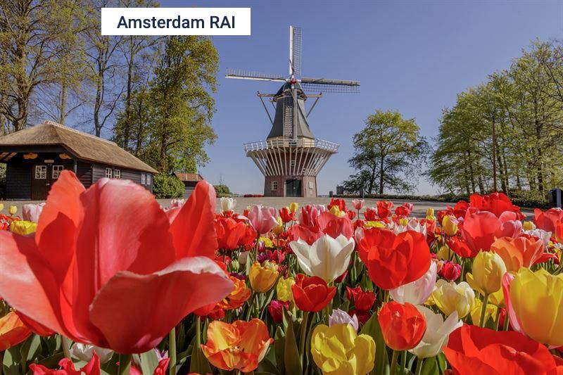 Imagen del tour: Keukenhof: Transporte desde la RAI de Ámsterdam