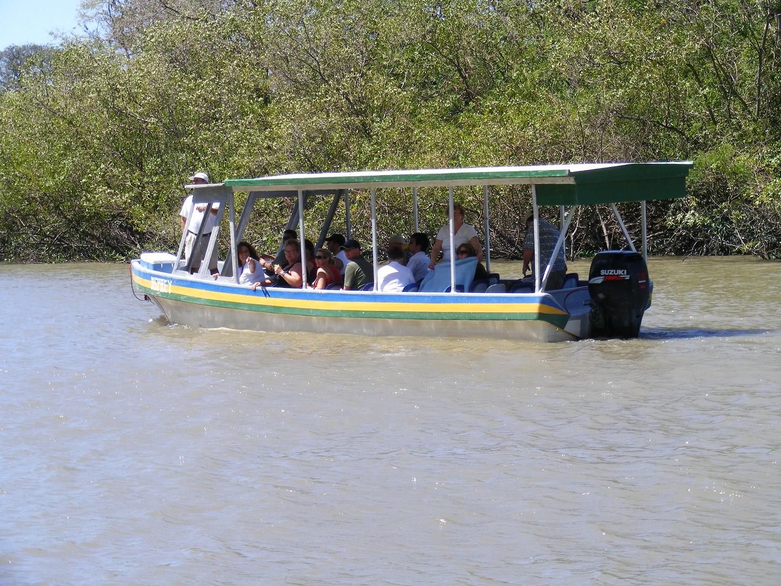 Imagen del tour: Parque Nacional de Palo Verde: Crucero por el río de la selva