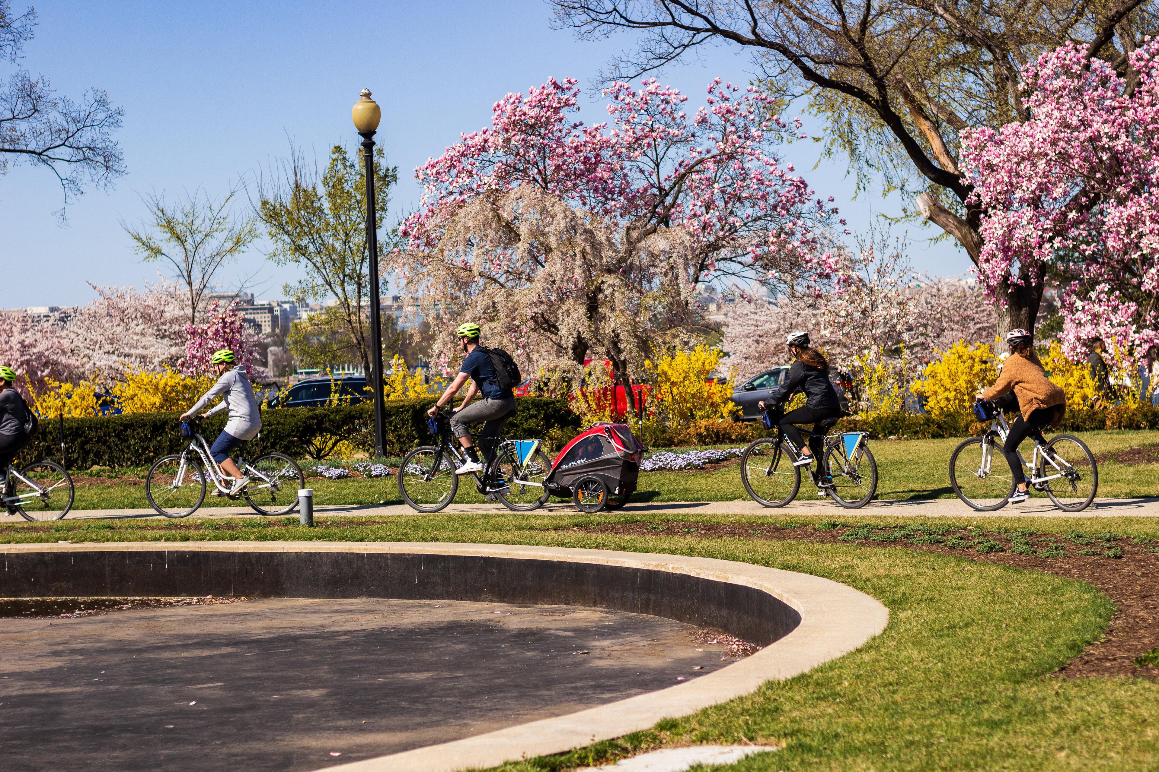 Imagen del tour: Washington DC: Excursión guiada en bicicleta de 3 horas por los Monumentos y Conmemoraciones