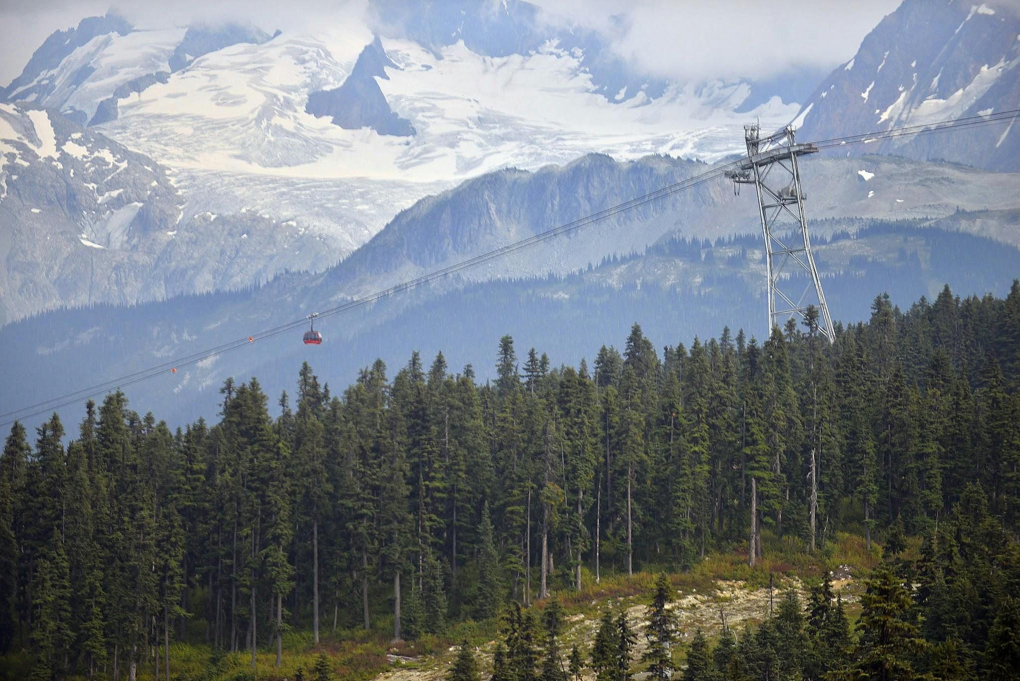 Imagen del tour: Whistler y teleférico Sea to Sky Gondola: Tour de un día desde Vancouver