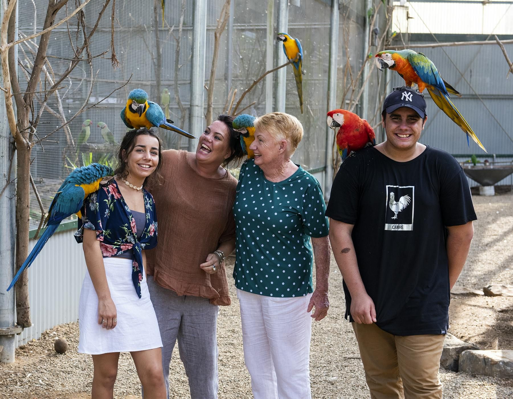 Imagen del tour: Jardín Botánico y Mundo de las Aves de Maleny