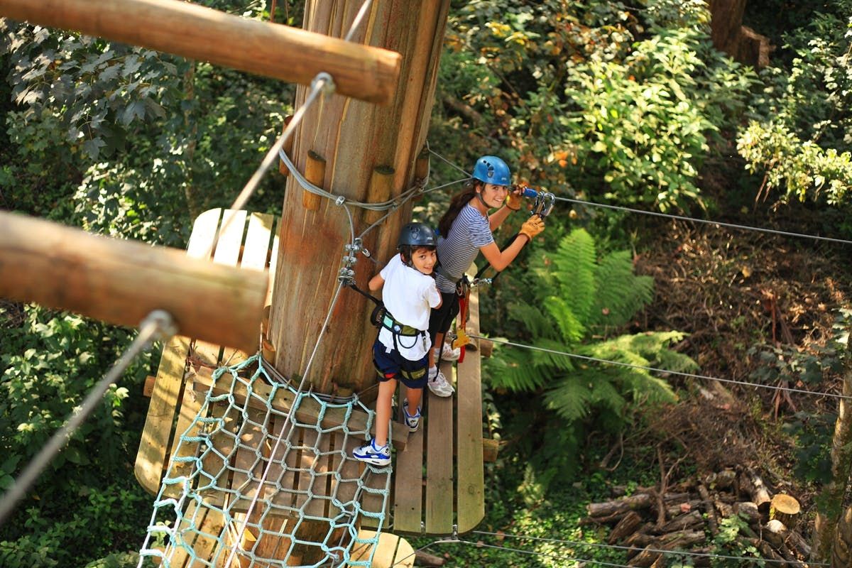 Imagen del tour: Aventura en las copas de los árboles - Parque del Río Grose