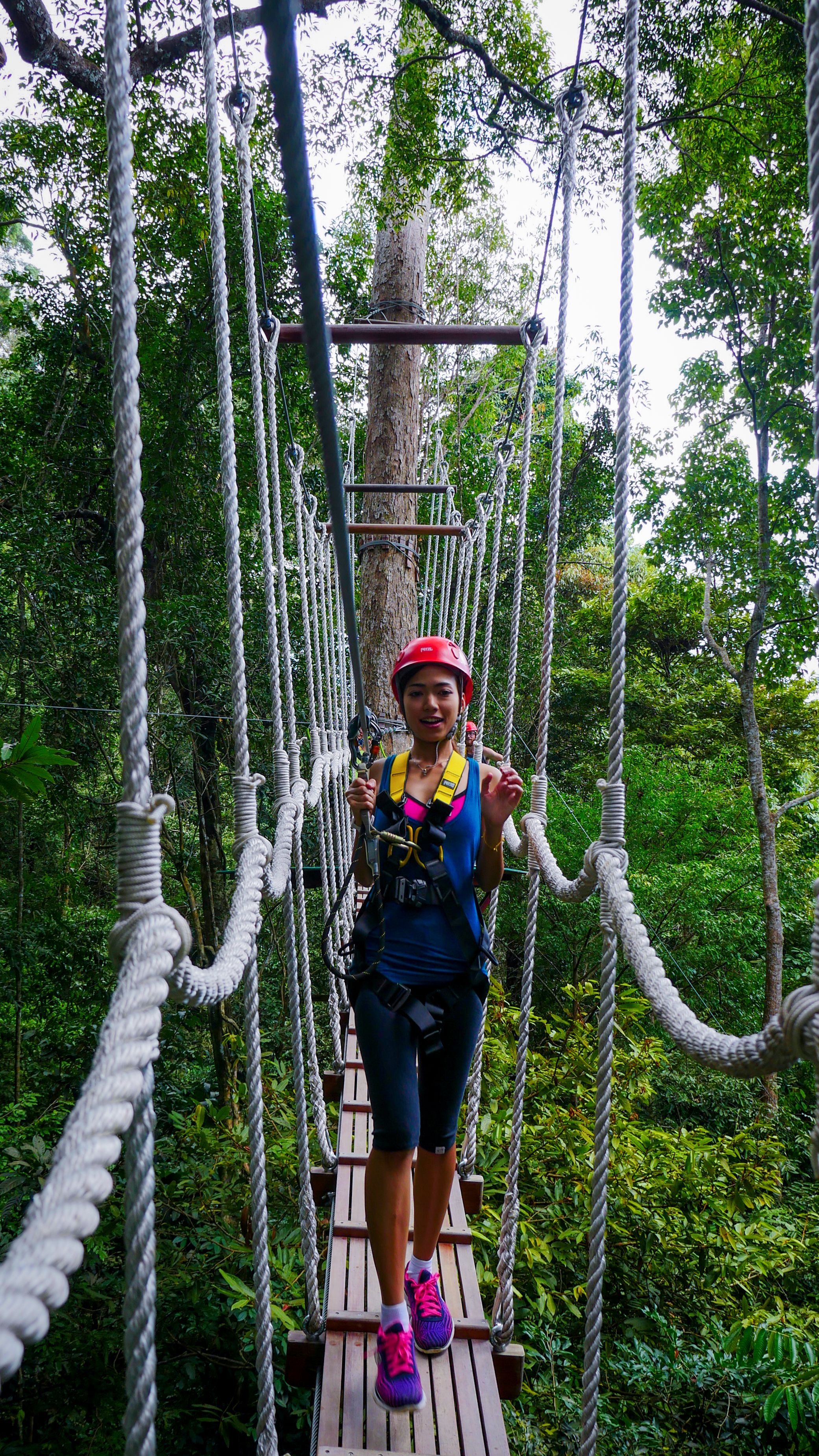 Imagen del tour: Vuelo en tirolina por la jungla de Langkawi