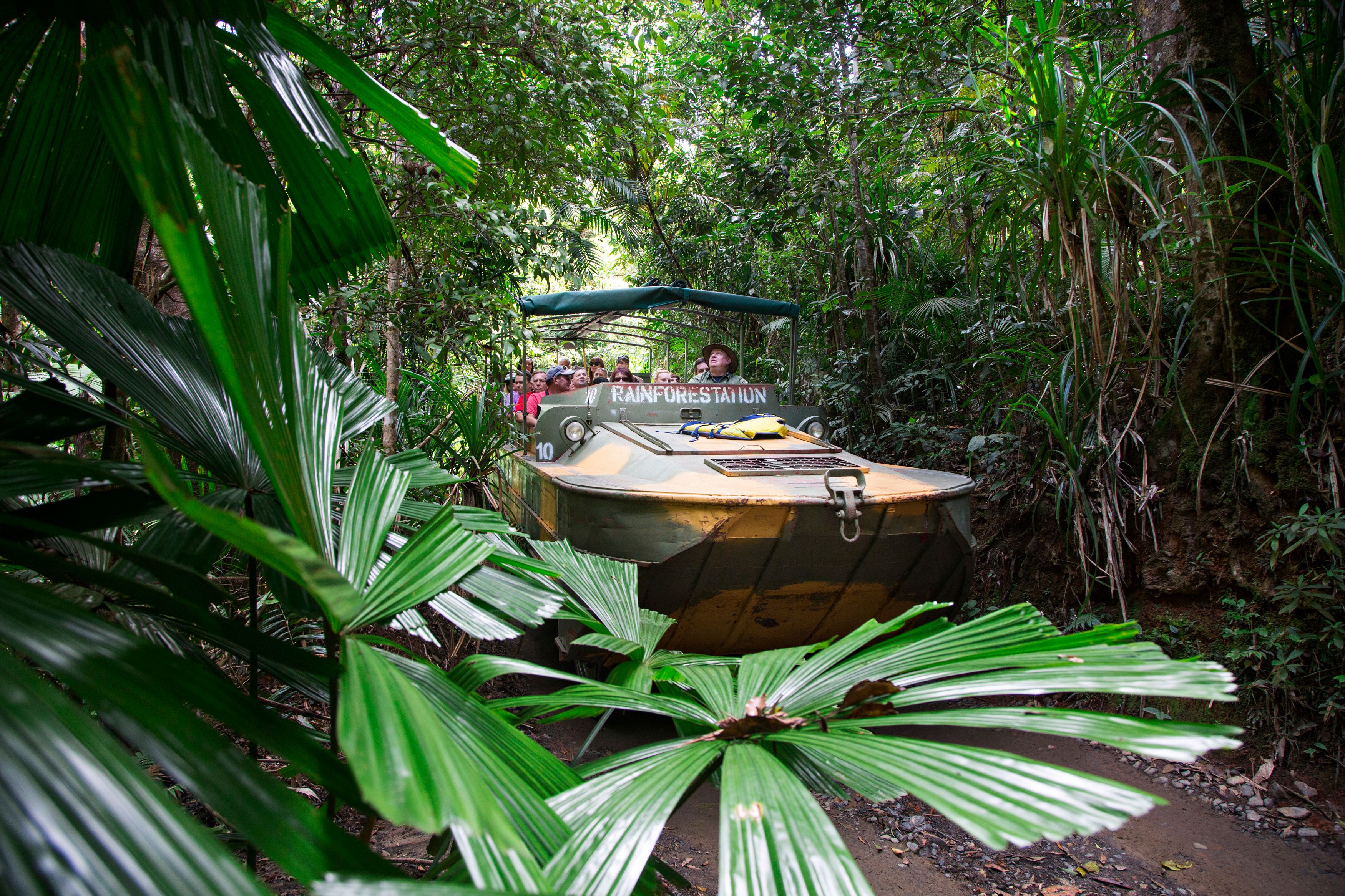 Imagen del tour: Rainforestation Nature Park