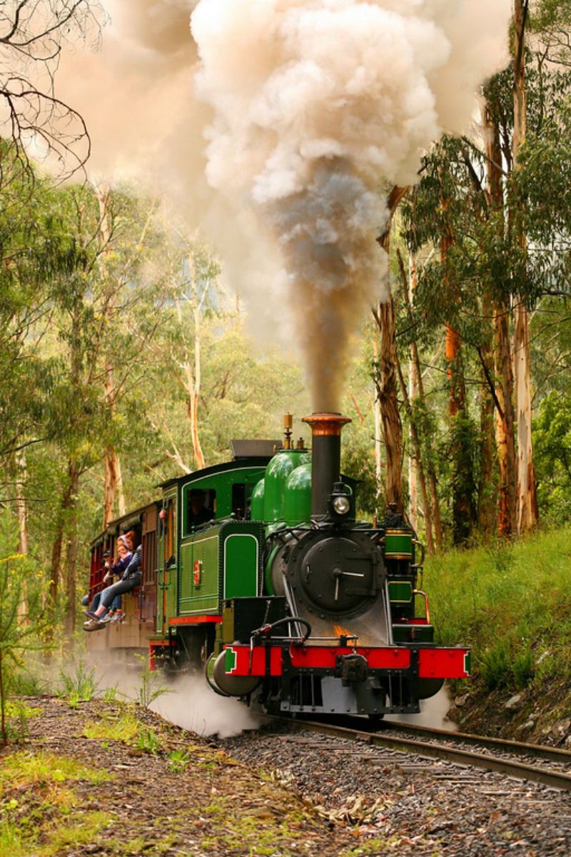 Imagen del tour: Ferrocarril Puffing Billy: Excursión por la mañana desde Melbourne
