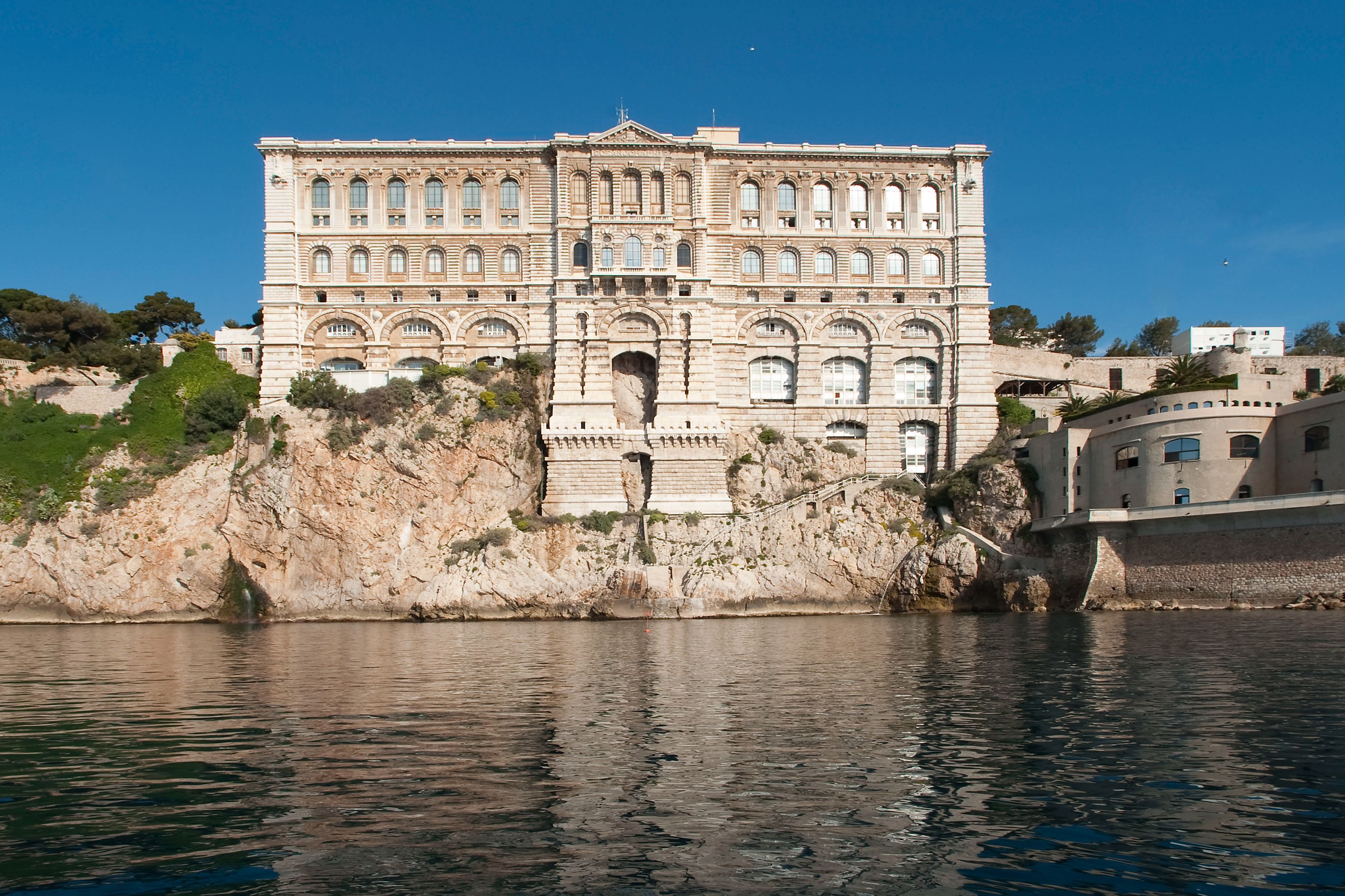 Imagen del tour: Museo Oceanográfico de Mónaco: Entrada