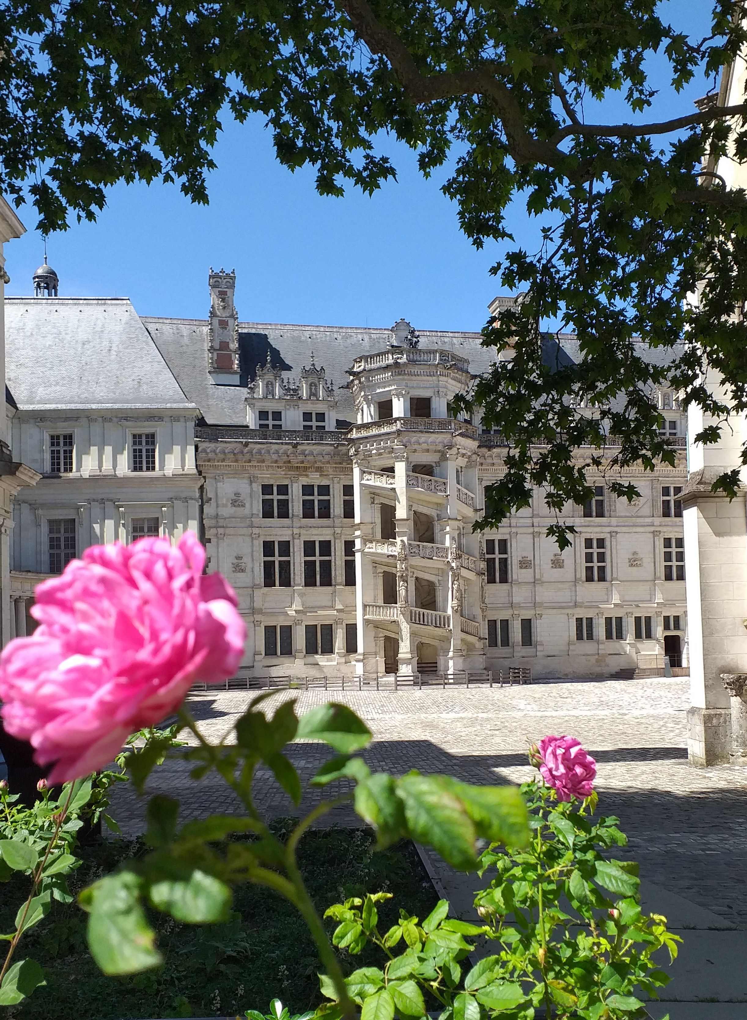 Imagen del tour: Castillo real de Blois: Entrada