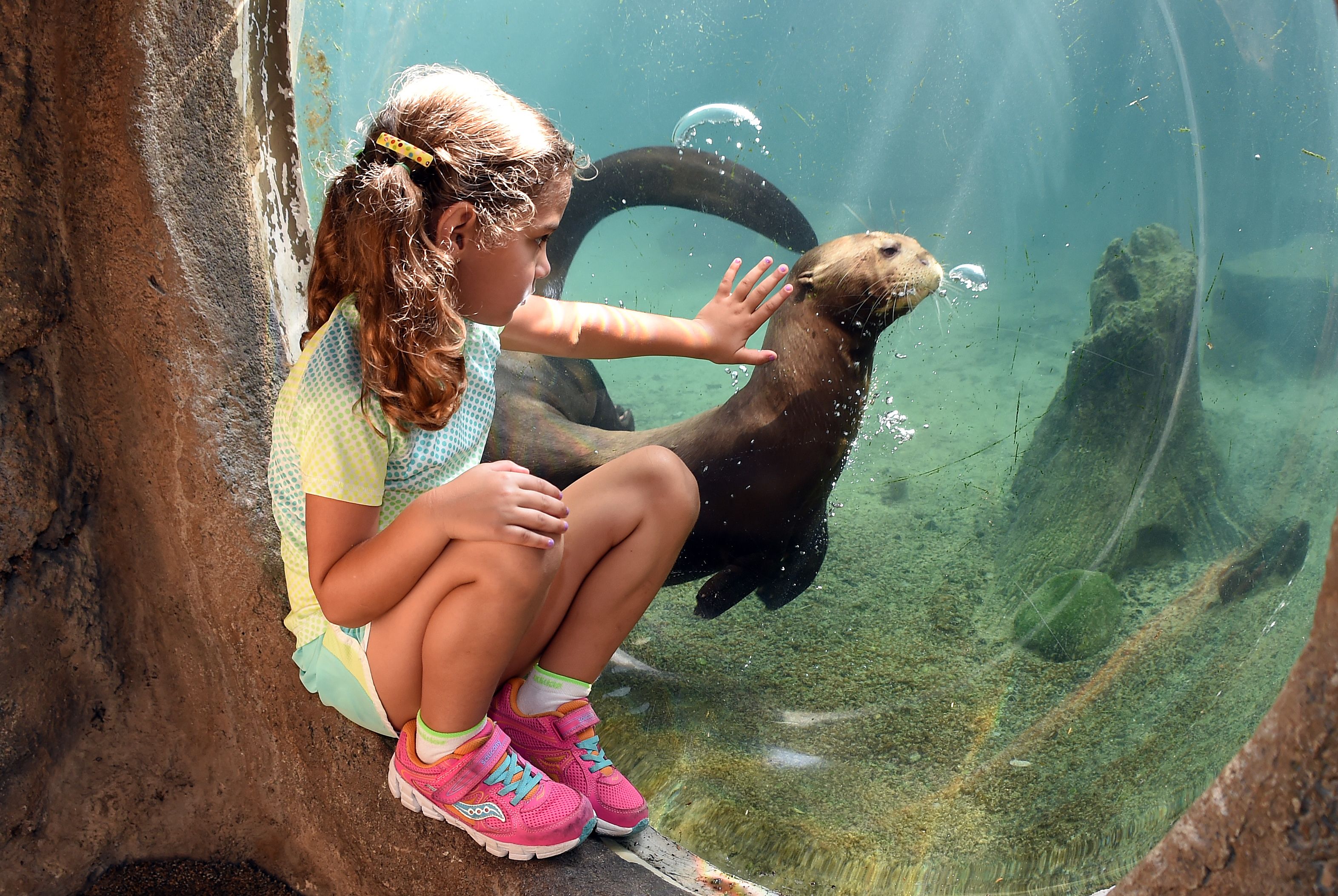 Imagen del tour: Zoo de Miami: Entrada sin colas