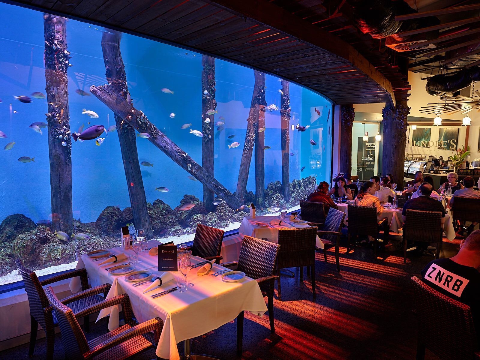 Imagen del tour: Cairns Aquarium de Crepúsculo con cena
